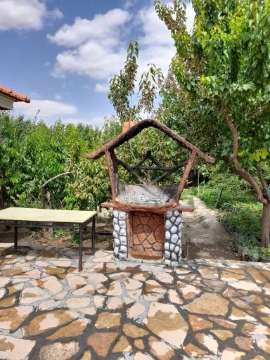 عکس باغ اندی 