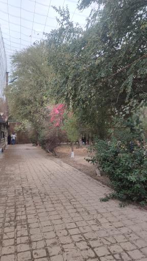 عکس پارک بعثت