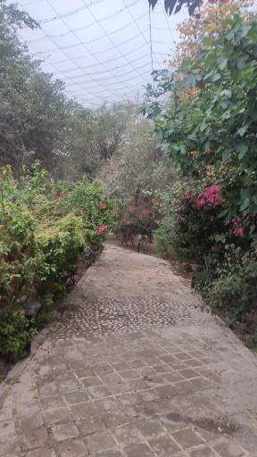 عکس پارک بعثت