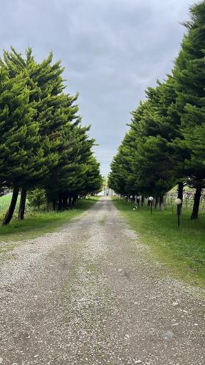 عکس دهکده توریستی آویشار 