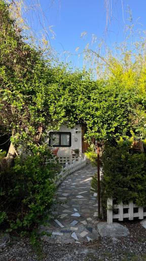 عکس دهکده توریستی آویشار 