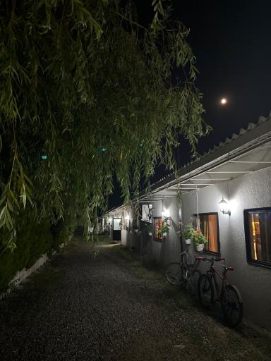 عکس دهکده توریستی آویشار 