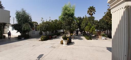 عکس شهرداری منطقه 11 شیراز