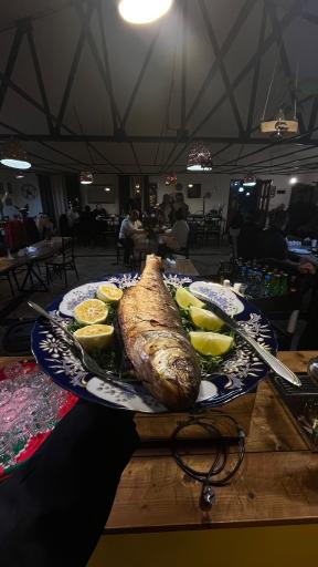 عکس دهکده توریستی آویشار 