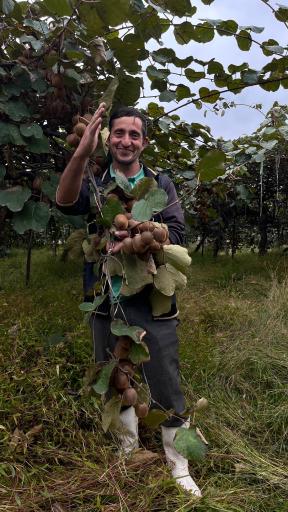 عکس دهکده توریستی آویشار 