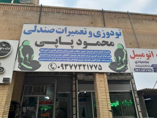 عکس تودوزی محمود پاپی