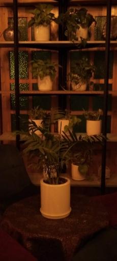 عکس کافه فلسفه