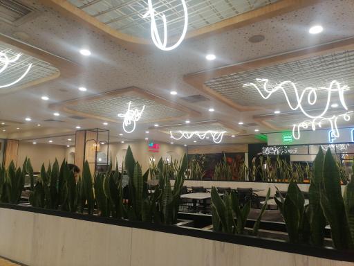 عکس فودکورت دامون