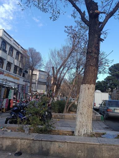 عکس بوستان بازار دوم نازی آباد