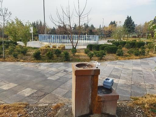 عکس بوستان سروناز