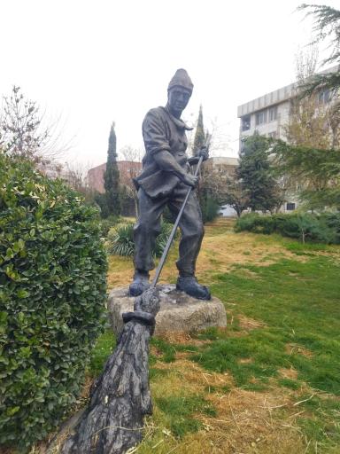 عکس بوستان سروناز