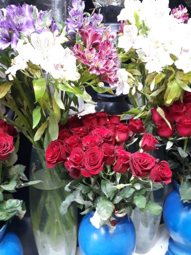 عکس گل معراج