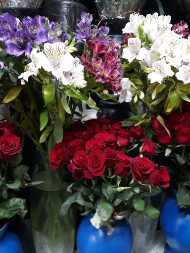 عکس گل معراج