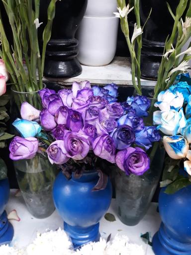 عکس گل معراج