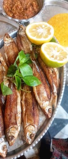 عکس رستوران سنتی نازخاتون