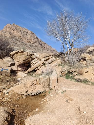 عکس چشمه انجیری