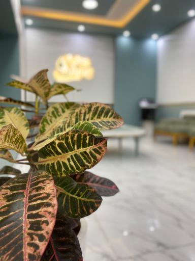 عکس کلینیک زیبایی شاین