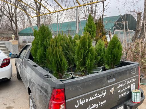 عکس نهالستان مهندس تقی زاده