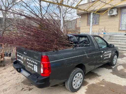 عکس نهالستان مهندس تقی زاده