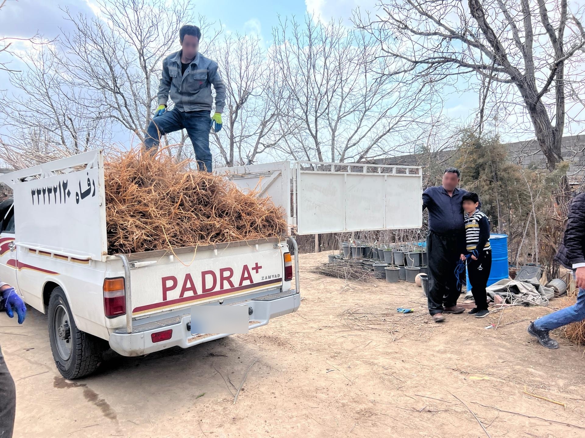 عکس نهالستان مهندس تقی زاده