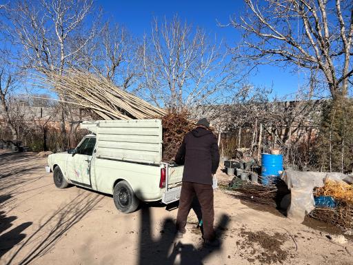 عکس نهالستان مهندس تقی زاده