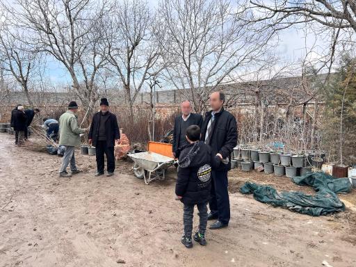 عکس نهالستان مهندس تقی زاده