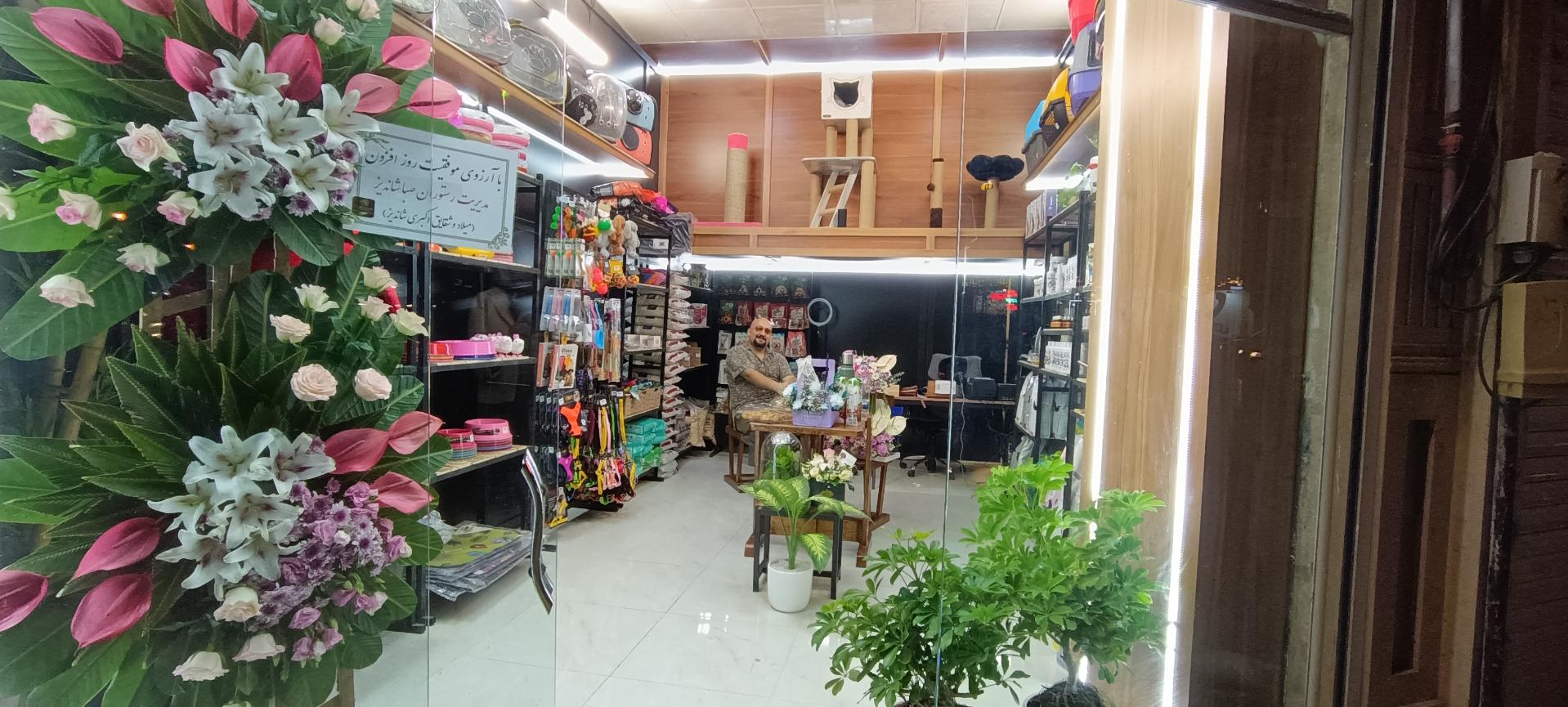 عکس پت شاپ خرس مهربون