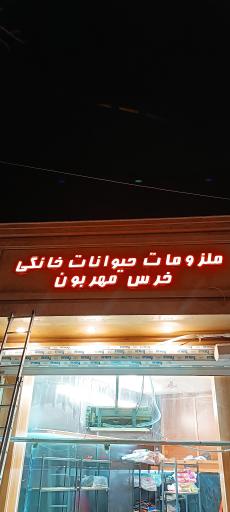 پت شاپ خرس مهربون