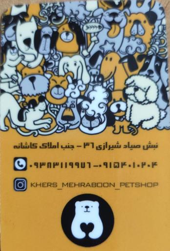 عکس پت شاپ خرس مهربون