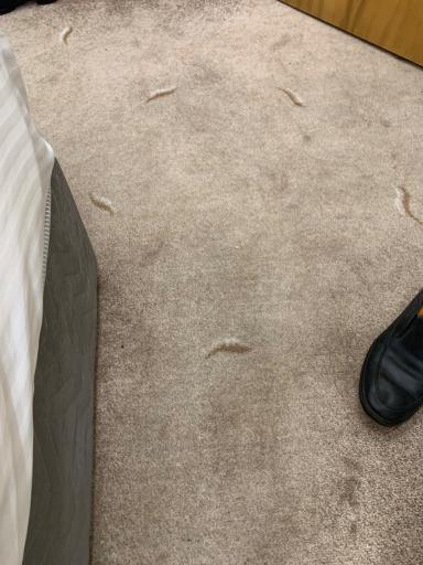 عکس هتل پالادیوم 