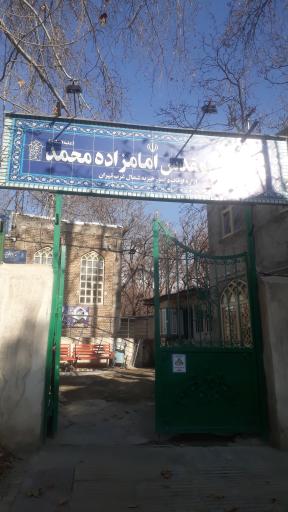 عکس امامزاده محمد