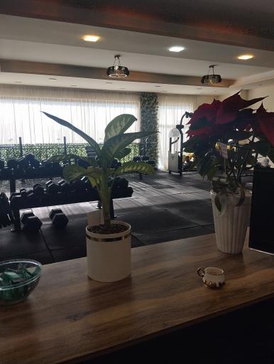 عکس باشگاه زال