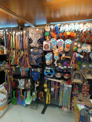 عکس پت شاپ خرس مهربون