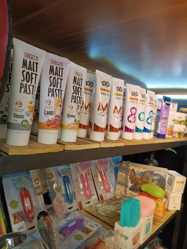 عکس پت شاپ خرس مهربون