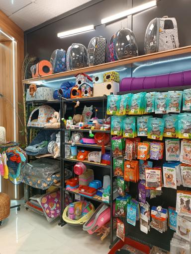 عکس پت شاپ خرس مهربون