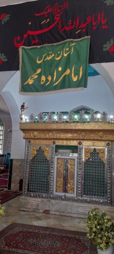 عکس امامزاده محمد