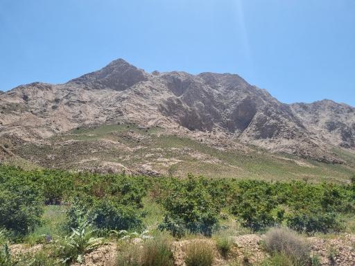 عکس غار جوجه