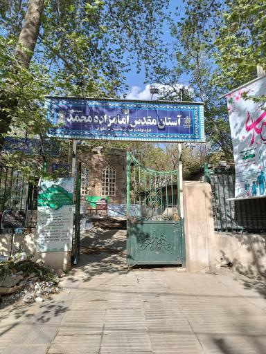 عکس امامزاده محمد