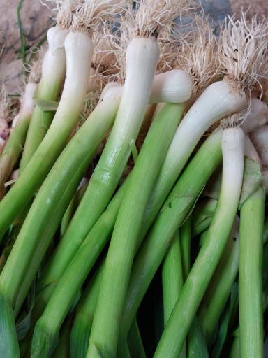 عکس سبزی مارکت ریواس 