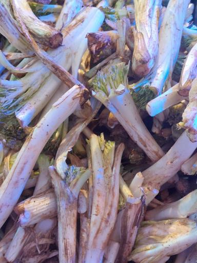 عکس سبزی مارکت ریواس 