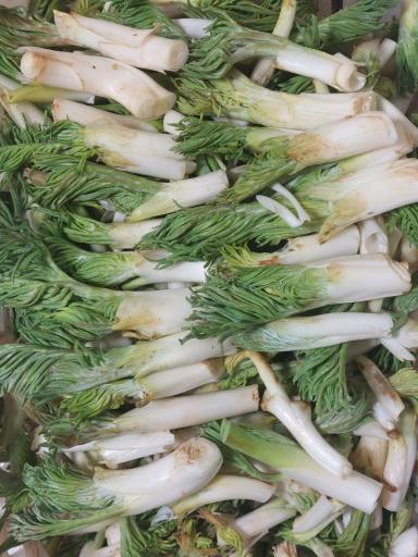 عکس سبزی مارکت ریواس 