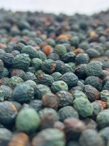 عکس سبزی مارکت ریواس 