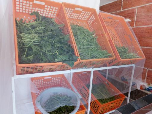 عکس سبزی مارکت ریواس 