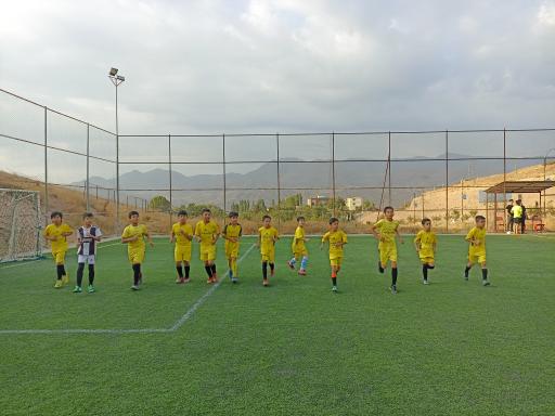 عکس زمین چمن زیدشت