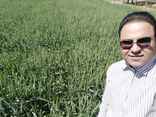 عکس خدمات کشاورزی دکتر حمید شمس