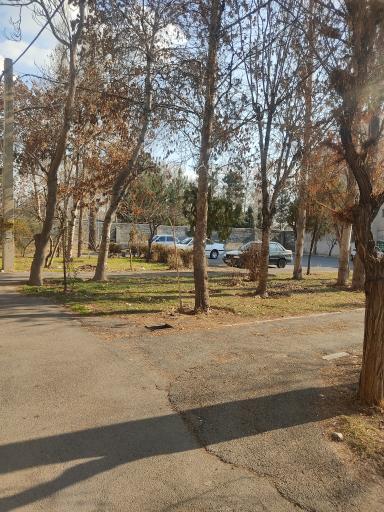 عکس شهرک لاله 