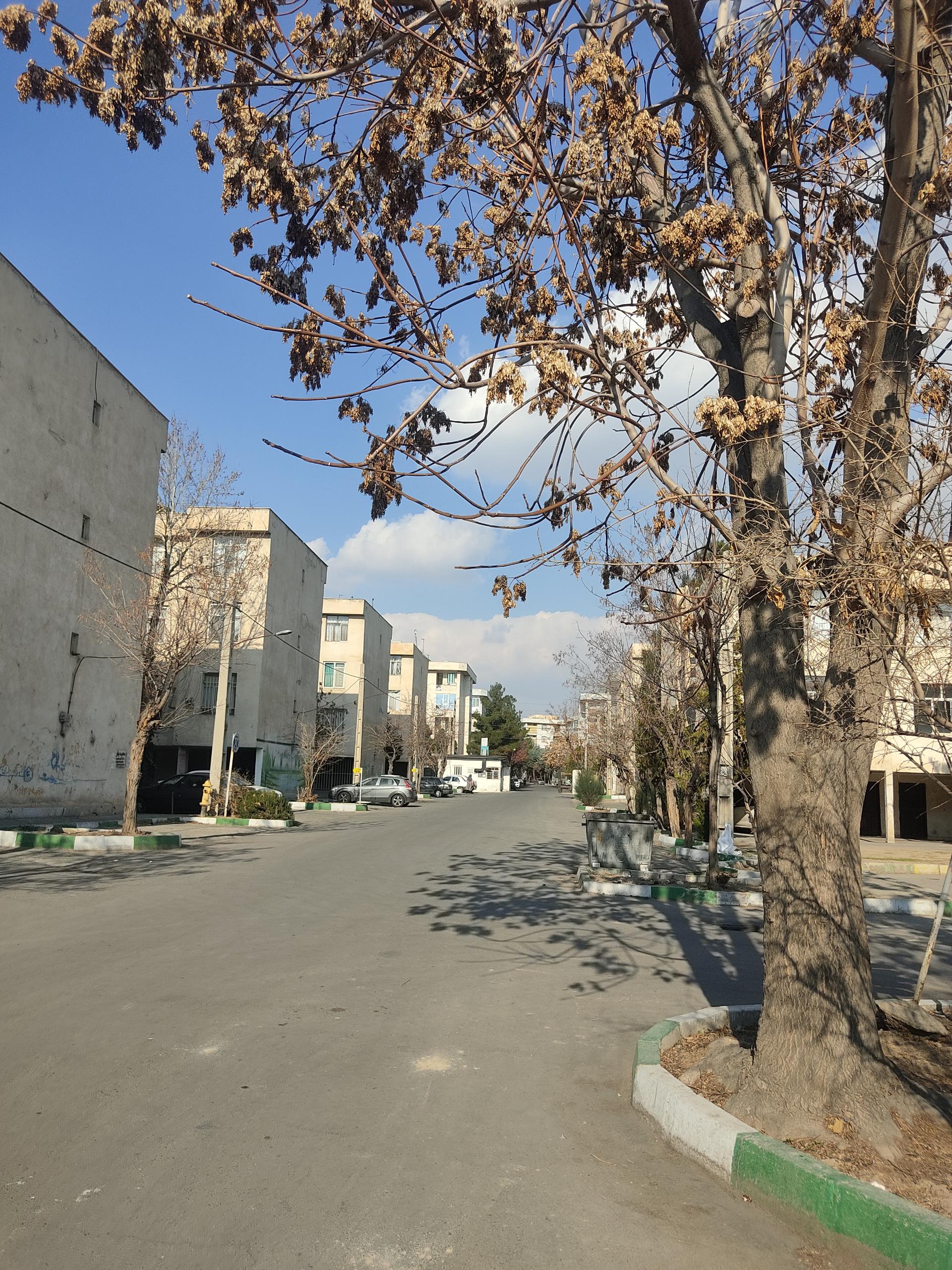 عکس شهرک لاله 