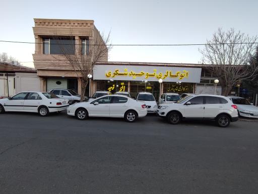 عکس اتوگالری توحید شکری