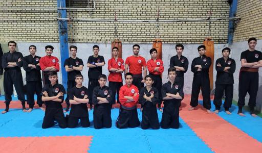 عکس آکادمی کونگ فو توآ شاهین استاد میرمعصومی 