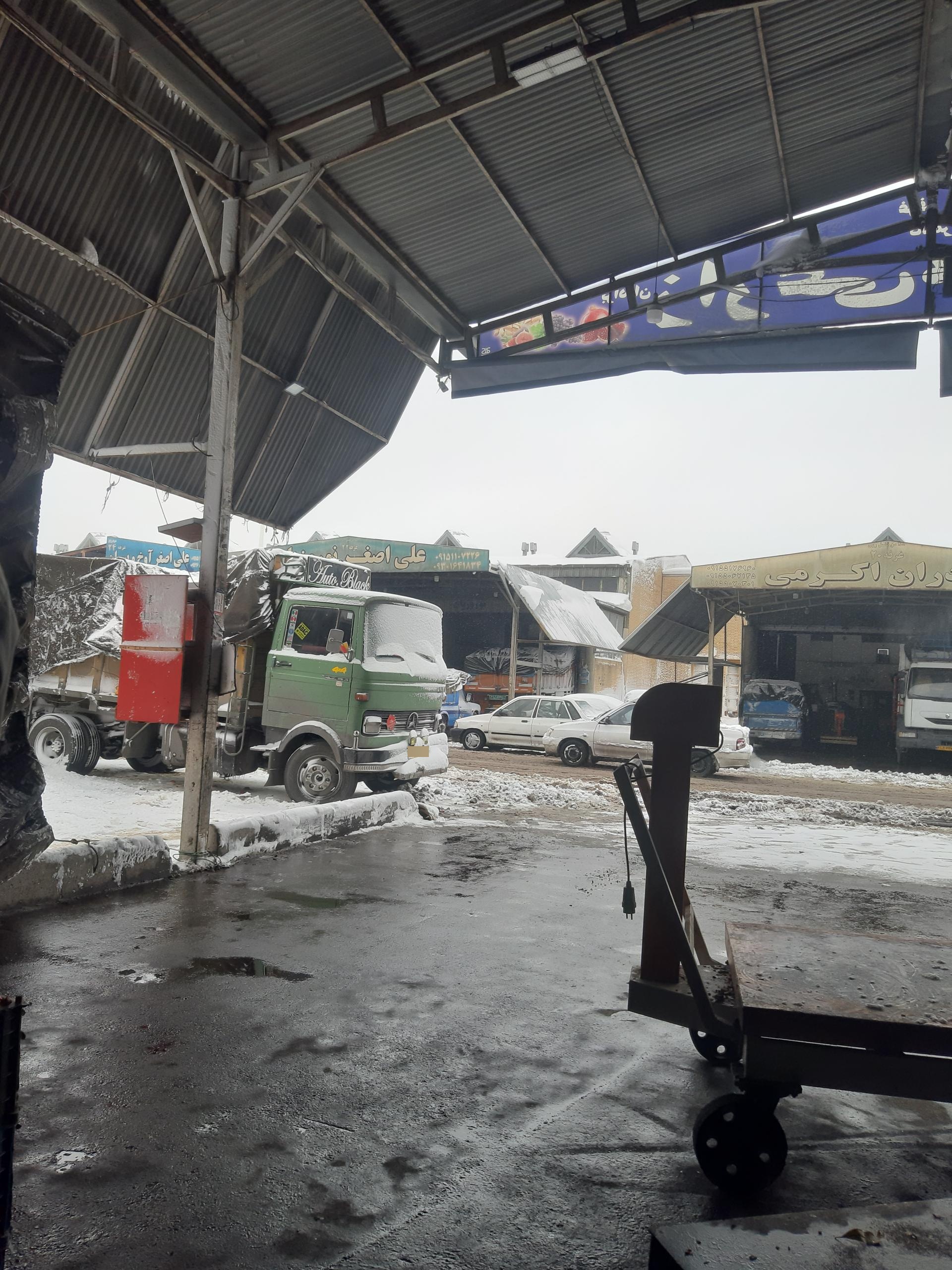 عکس بازرگانی میوه برادران زارعی (کاشمر)